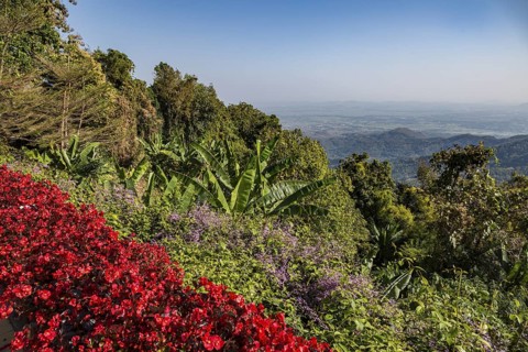 Colorful lush flower gardens line the perimeter of the mountain top Doi Tung Royal Villa lawn with