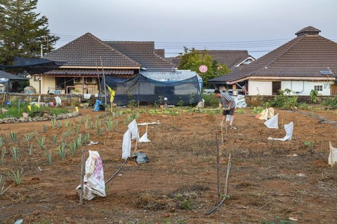 Thai man preparing soil for planting his small farm in a residential area of Chiang Rai, Thailand