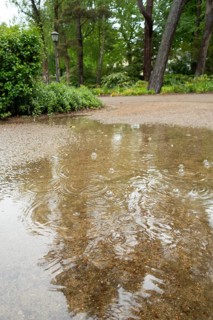 Rain puddle, rainwater, Ostseeallee, Baltic Sea, Baltic seaside resort, Kühlungsborn, Rostock