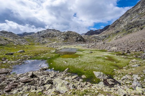 Mountain lakes in a high mountain landscape on the Obere Senner Egete between meadows full of