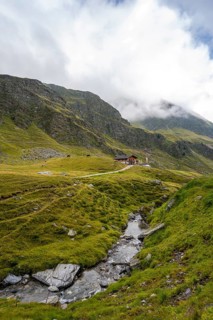 Mountain stream between alpine meadows with Martalm, Lazzacher Tal, Seven Lakes Hike, Stubai Alps,