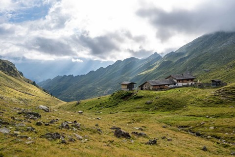 Alpine meadows with Martalm, Lazzacher Tal, Seven Lakes Hike, Stubai Alps, near Ridnaun, South