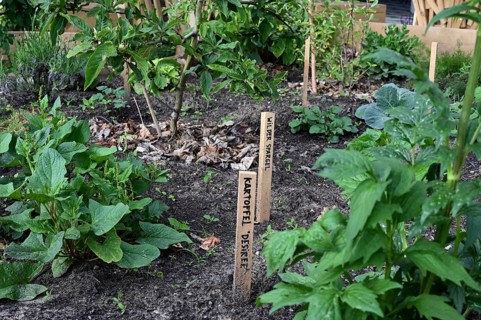 Outdoor exhibition on agriculture and cultivation in front of the Futurium next to the Federal