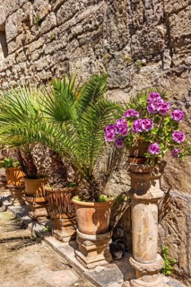 Lush green plants and garden flowers in bloom on pedestals in terracotta pots in a beautiful garden