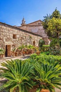 Lush green plants in terracotta pots in a the beautiful Banys Arabs garden a sunny summer day,