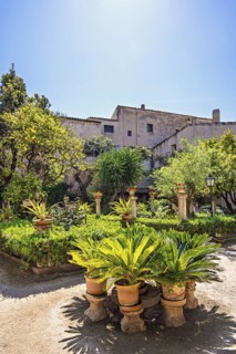 Lush green plants in terracotta pots in on a garden path at the beautiful Banys Arabs garden a