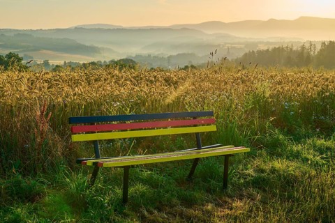 Bench in national colours with peaceful view of misty fields in the morning light, Germerode, Geo
