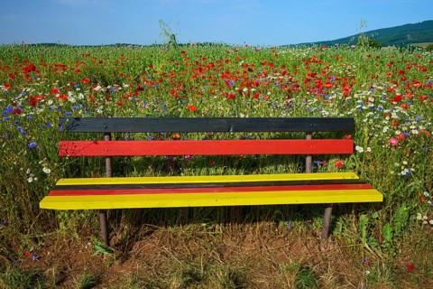 Bench in the colours of the German flag in front of a flower field with opium poppies (Papaver