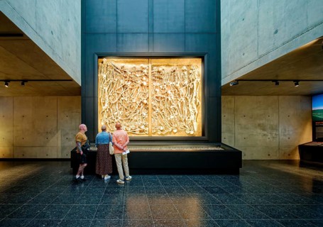 Mass grave with the bones of 47 fallen soldiers, interior photo, Museum Lützen 1632 in memory of