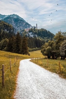 A pebbled path leads through a wooded landscape to Neuschwanstein Castle on a hill, Schwangau,