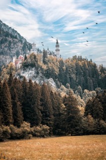 The fairytale Neuschwanstein Castle on a wooded hill, surrounded by flying birds and a clear sky,