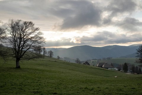 View from Schauinsland to the east with the mountains of the Black Forest in the morning, Oberried,