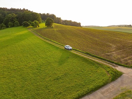 Small car drives along a country road through green fields and rows of trees, Renault Megane, Deer