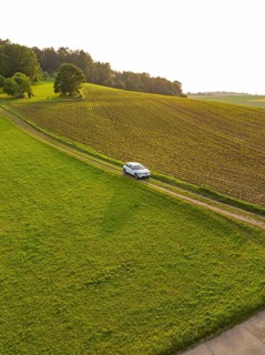 Car driving along a green country road through a quiet, rural landscape, Renault Megane, Deer E