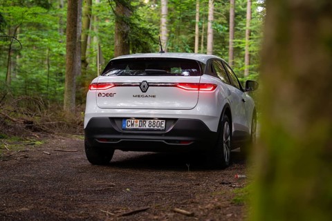 White car from behind on a forest floor surrounded by lush greenery and trees, Renault Megane, Deer