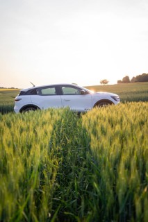 Car driving through green field at sunset, surrounded by tall grass, Renault Megane, Deer E-