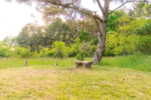 A wooden bench stands in a meadow, surrounded by trees, Gechingen, Hecken and Gäu region, Calw