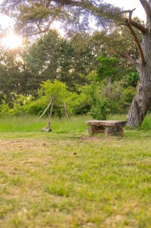 A wooden bench in the evening sun on a green meadow, surrounded by trees, Gechingen, hedges and Gäu