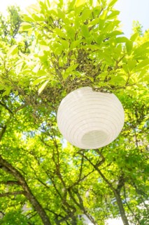 White paper lantern shines through green leaves in the summer sun, event and wedding location Lorch