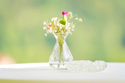 Single flower in a small vase on a table with a green background, minimalist and delicate, event