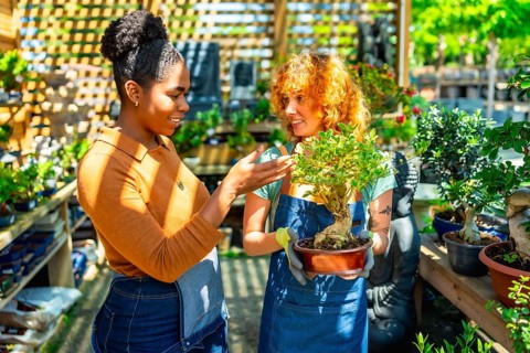 Gardener holding a bonsai and talking about it with a customer in a plant nursery on a sunny day