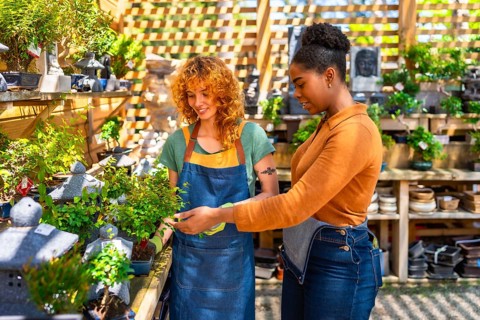 Two women working in a garden center taking care of bonsai plants, one of them is showing a small
