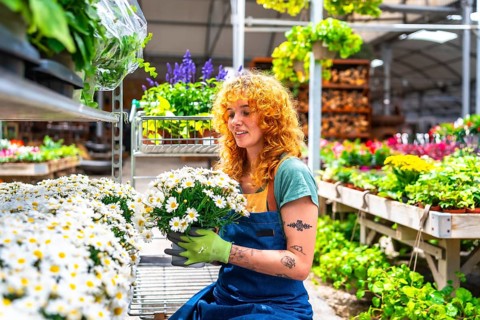 Redhead gardener holding a pot with white daisies in a garden center, surrounded by colorful plants
