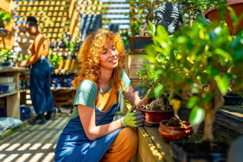 Female gardener nurturing a bonsai tree while tending to plants in a vibrant greenhouse at a local