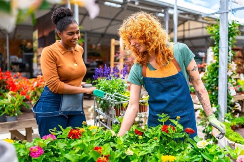Two young women working in a garden center taking care of colorful flowers and helping customers