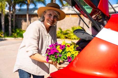 Happy senior woman putting colorful petunia flowers into red car trunk, enjoying gardening on sunny