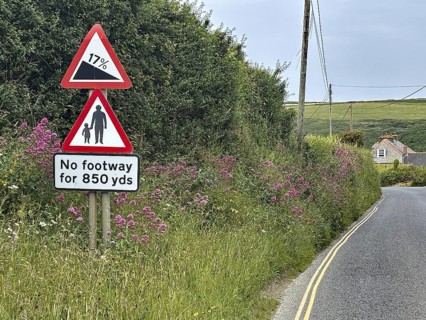 Country road with road signs surrounded by green hedge and flowers, Cornwall, England, Great