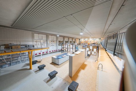 Exhibition space with works of art, bright light and modern architecture, historical art exhibition