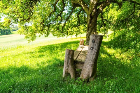 Wooden bench under tree with view of wide green landscape and shade, Gechingen, Black Forest,