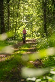 Person riding a bicycle on a shady forest path, surrounded by green nature, Gechingen, Black
