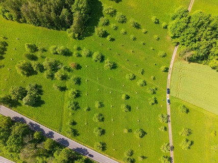 Aerial view of a tree-lined meadow next to a road, orchards, compensation project for the Hermann