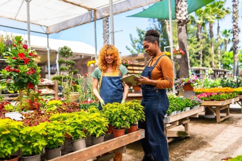 Two women collaborating in a garden center, consulting a digital tablet while discussing various
