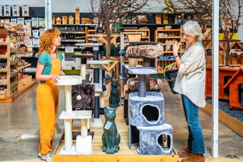 Pet shop assistant displaying various cat trees while helping a customer select the perfect