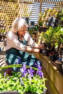 Happy gardener pruning a bonsai tree in a sunlit greenhouse, surrounded by vibrant plants and