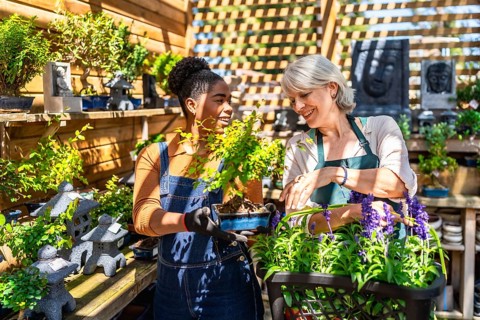 Two female garden center workers taking care of a bonsai tree and other plants in a sunny