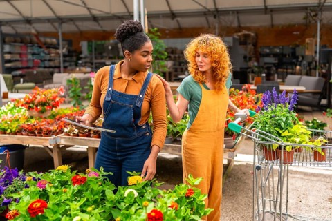 Two women working in a garden center are discussing flowers while using a digital tablet and