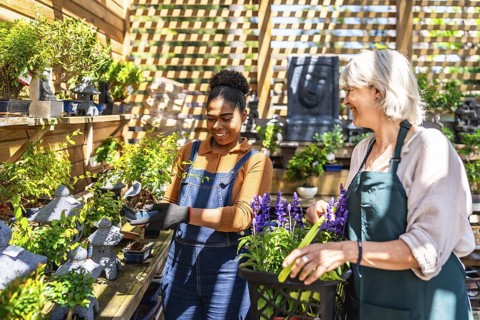 Two happy female garden center workers taking care of bonsai trees and lavender plants in a