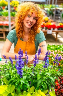 Smiling redhead gardener standing behind a cart overflowing with vibrant purple flowers, surrounded