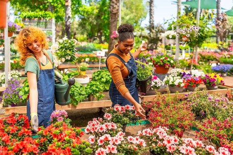 Two young women working together in a vibrant plant nursery, nurturing and tending to a variety of