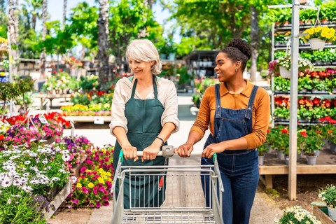 Two female garden center workers pushing an empty shopping cart between rows of colorful potted