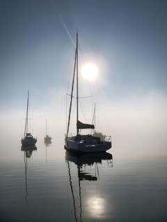 Evening atmosphere, sailing boats on Lake Starnberg near fog, Bavaria, Germany