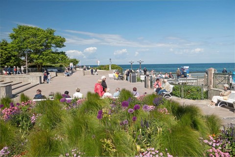 Flowers, pier forecourt, pier, Kühlunsborn Ost, Baltic Sea, Baltic Sea resort, Kühlungsborn,