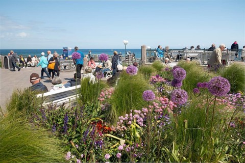 Flowers, white benches, pier forecourt, pier, Kühlunsborn Ost, Baltic Sea, Baltic Sea resort,