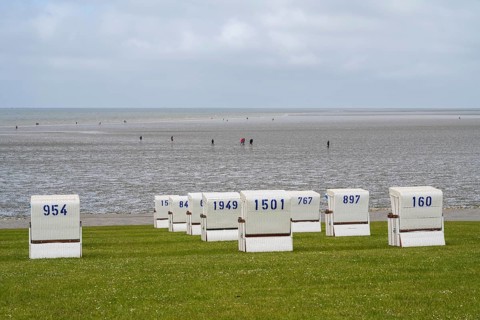 Beach chairs on the green beach, hiker in the mudflats, Büsum, North Sea, Schleswig-Holstein,