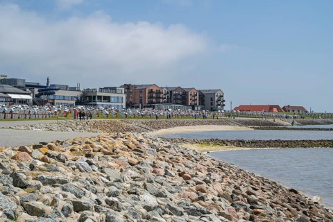 Coast and green beach, centre, Büsum, North Sea, Schleswig-Holstein, Germany