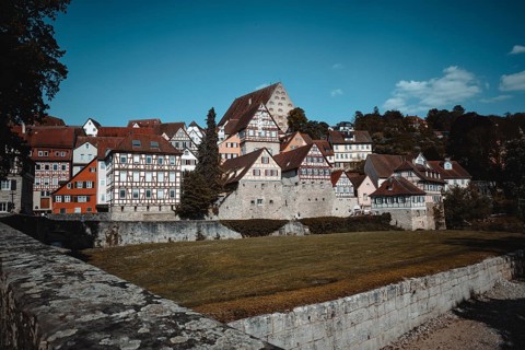Medieval half-timbered houses and a castle under a blue sky next to a green meadow and trees in the